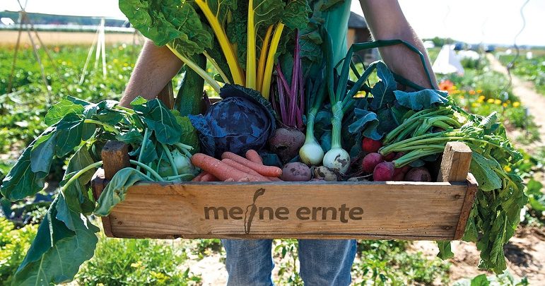 Meine-ernte