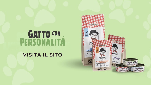 Gattoconpersonalita